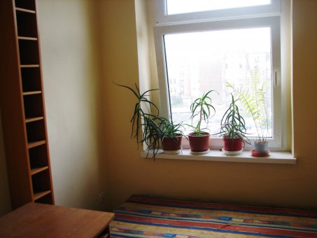 Zdjęcie do ogłoszenia Mieszkanie 45m WROCŁAW - centrum 1300zł RAZEM Z O